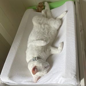 Meet your Posher, Bethany